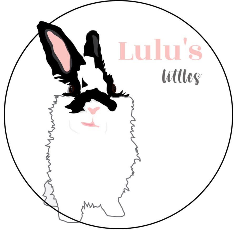 Rabbits101 YouTube channel avatar