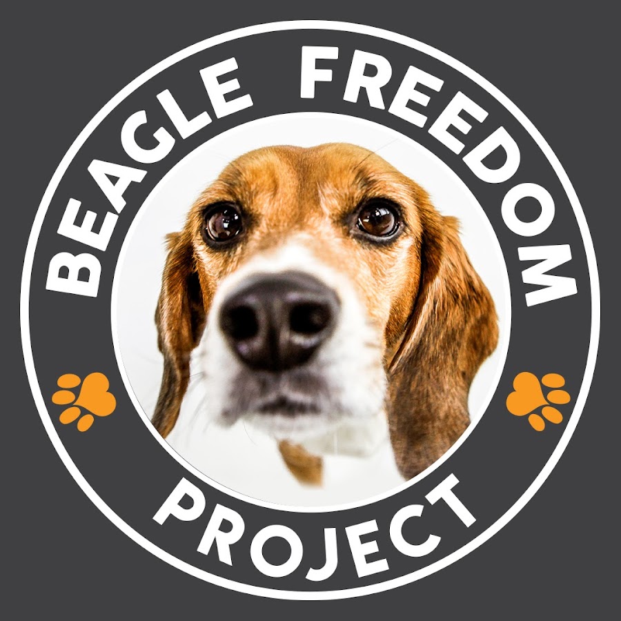 Rescue Freedom Project
