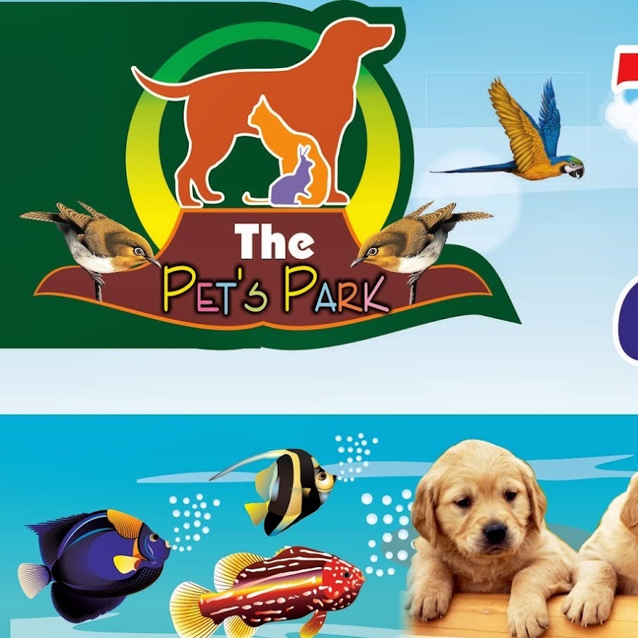 The Pets park رمز قناة اليوتيوب