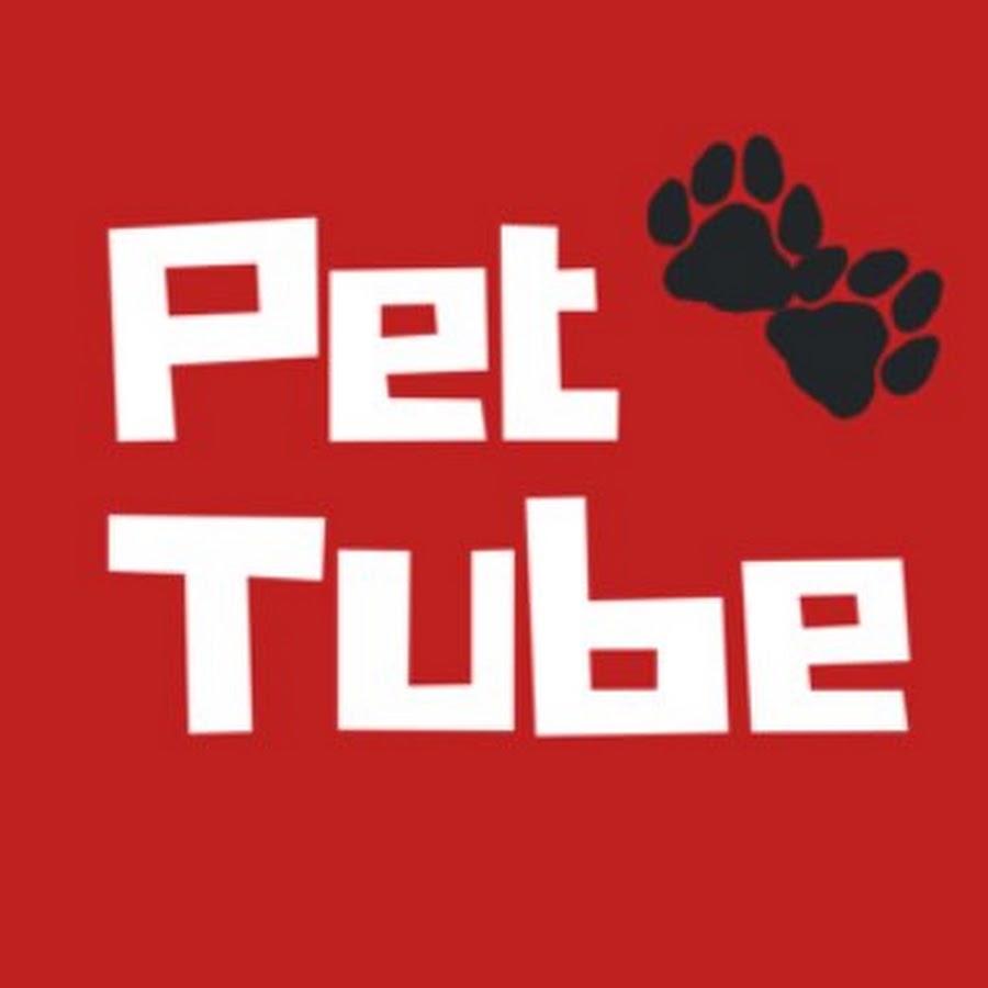 Pet Tube Аватар канала YouTube