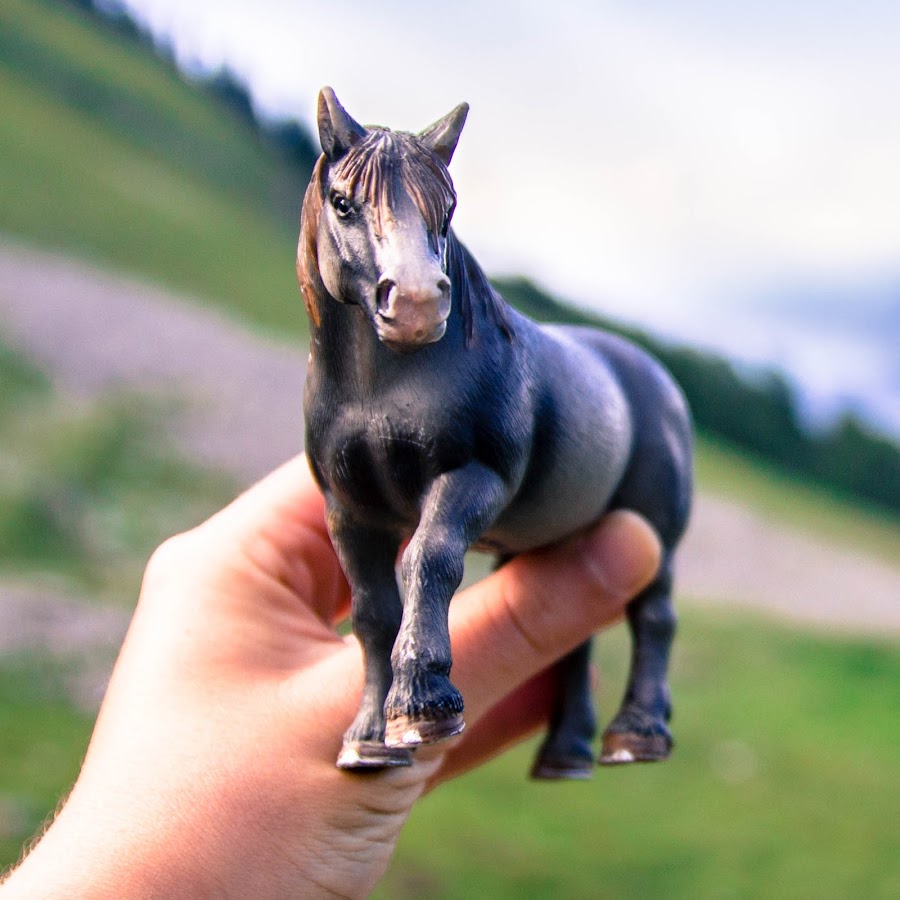 Boudficelle Schleich Avatar de chaîne YouTube