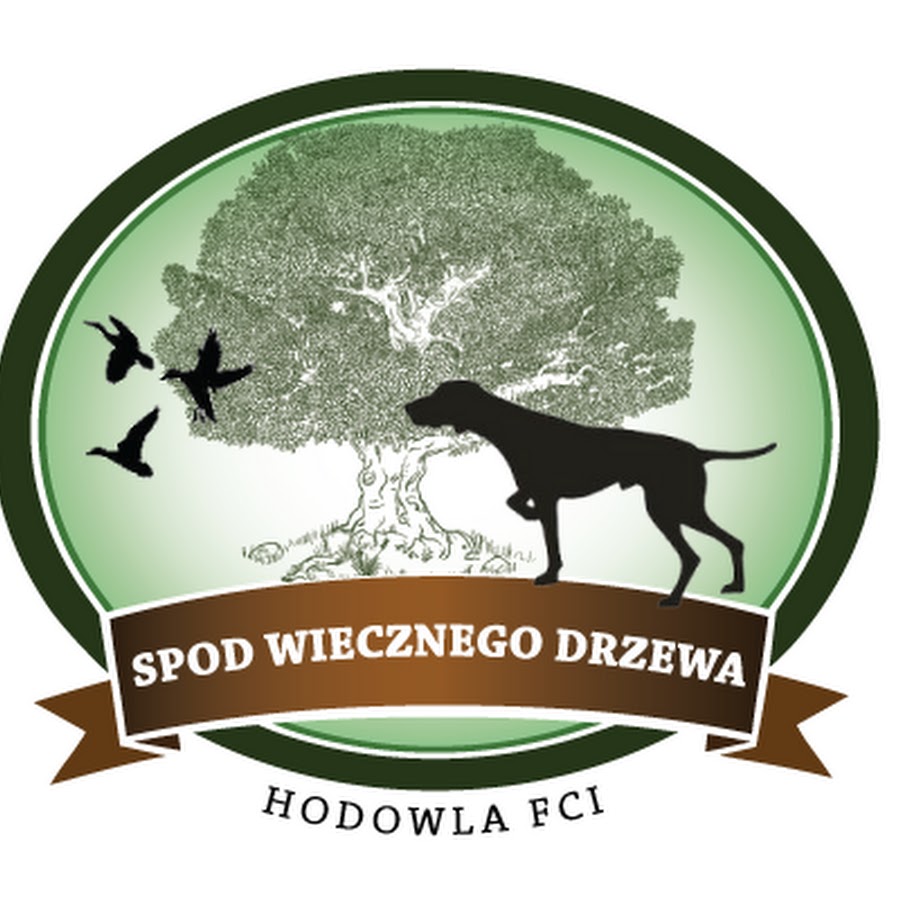 spod Wiecznego Drzewa YouTube kanalı avatarı