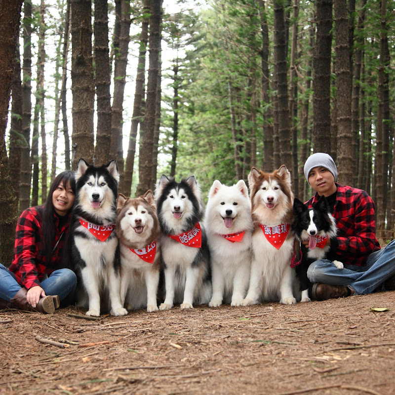 哈Dog Life鷹琳 - 網紅的藏寶箱 