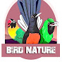 Bird Nature YouTube Profile Photo