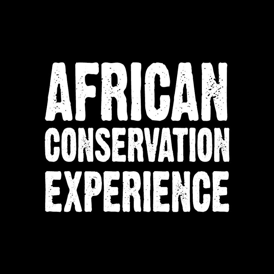 African Conservation Experience ইউটিউব চ্যানেল অ্যাভাটার