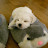 토리와짱이
