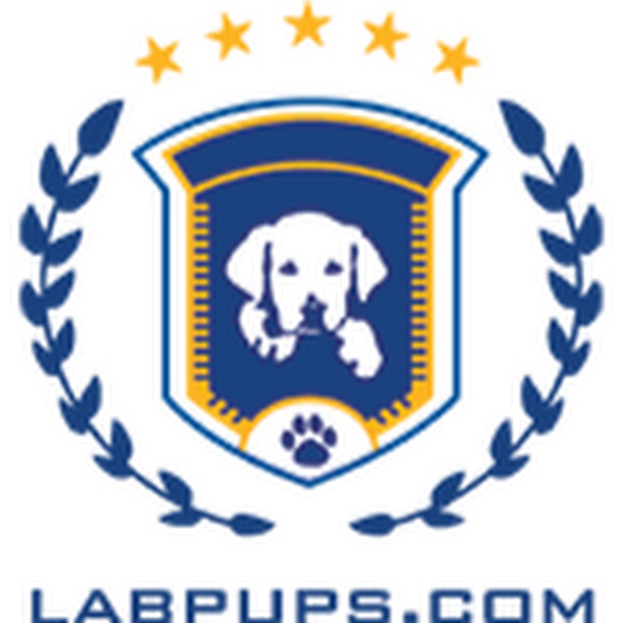 LabPups.com رمز قناة اليوتيوب