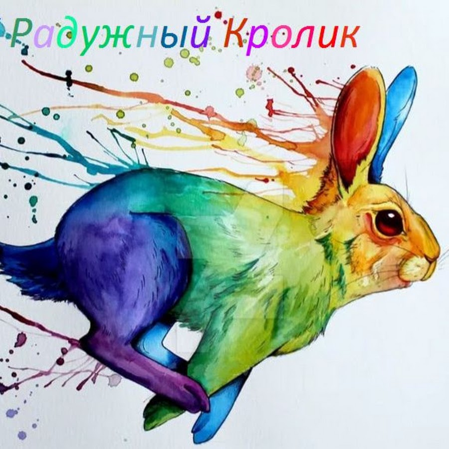 Радужный Кролик Интернет Магазин Иркутск