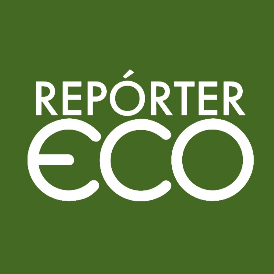 RepÃ³rter Eco YouTube channel avatar