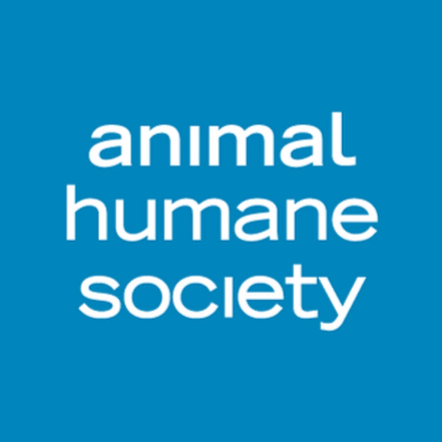 AnimalHumaneSociety رمز قناة اليوتيوب