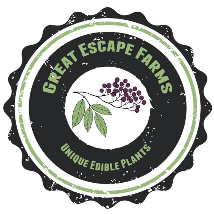 Great Escape Farms YouTube channel avatar