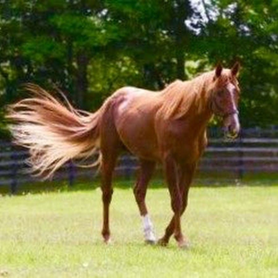 金細工師 Youtube