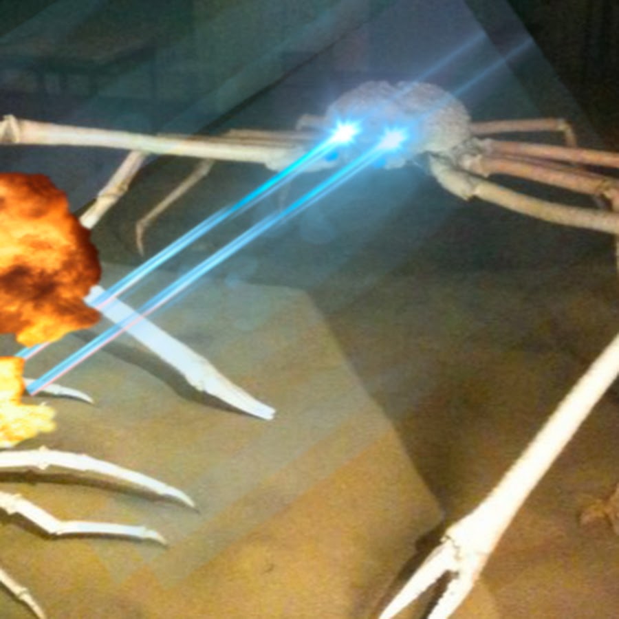 AAUvwnjk39A-gpBkIf1CX3TpHP0qzPp5gFQB_qIt