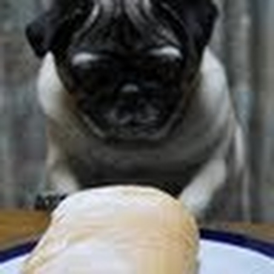 松尾美紀 Youtube