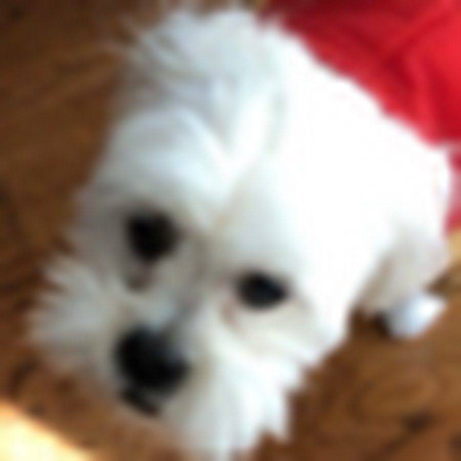 Npen Youtube