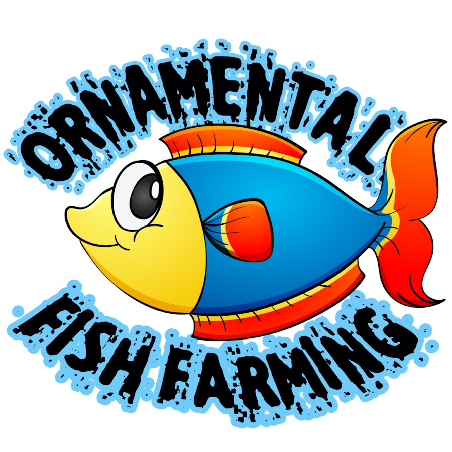ORNAMENTAL FISH FARMING رمز قناة اليوتيوب