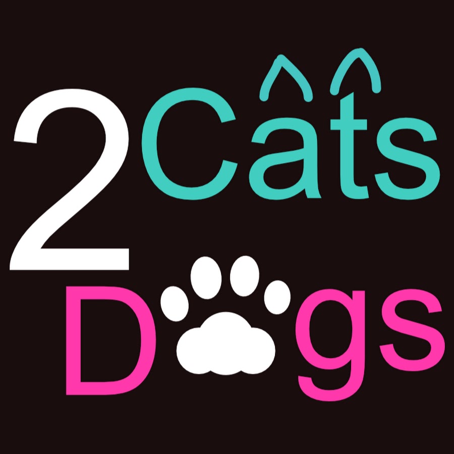 2 Cats 2 Dogs YouTube 频道头像
