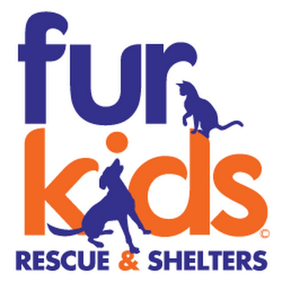 Furkids Animal Rescue and Shelters Cat Shelter ইউটিউব চ্যানেল অ্যাভাটার