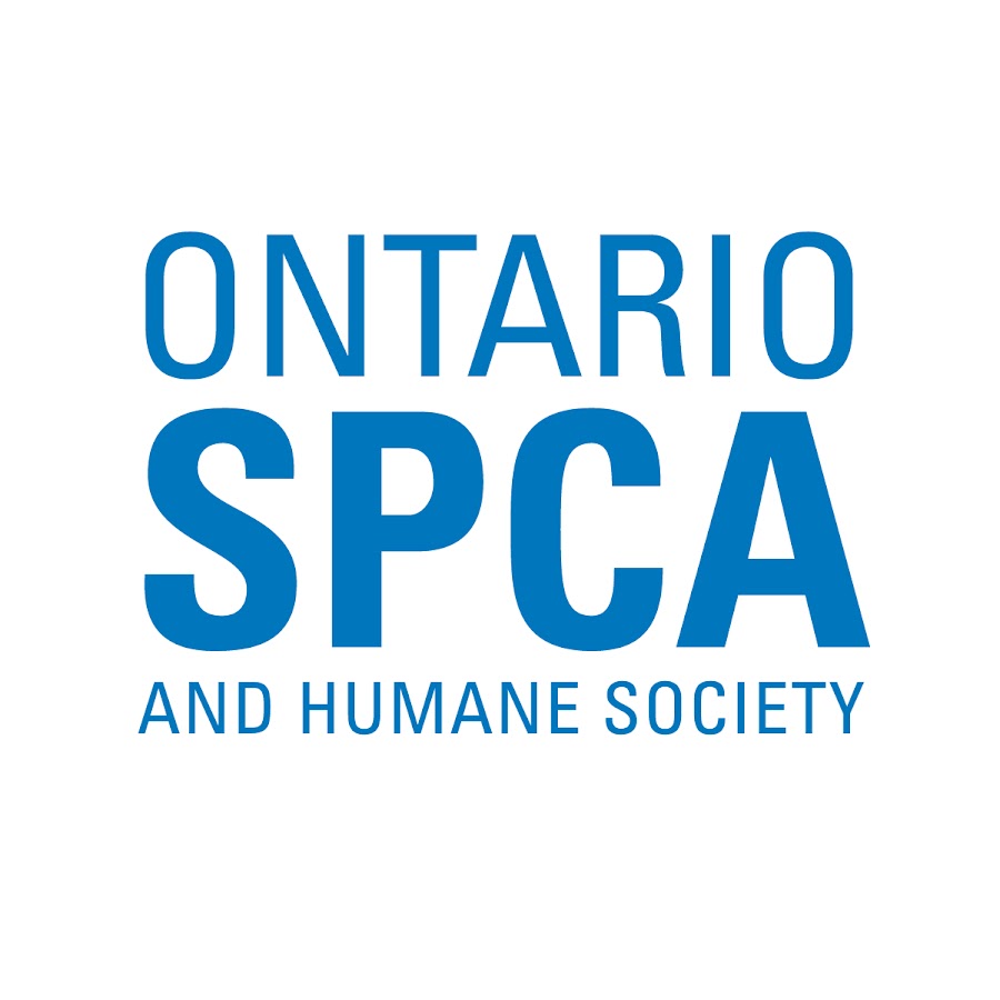 Ontario SPCA Avatar de chaîne YouTube