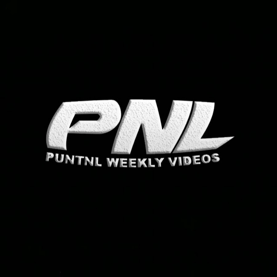 PuntNL YouTube channel avatar