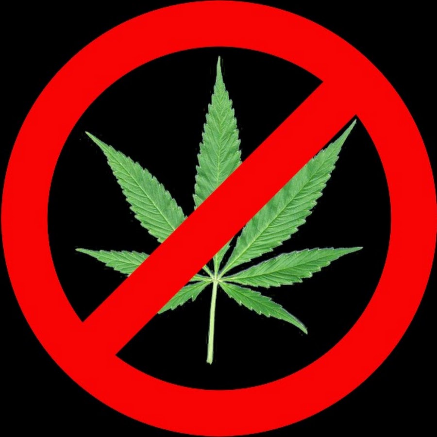 Drugs Not Included YouTube-Kanal-Avatar