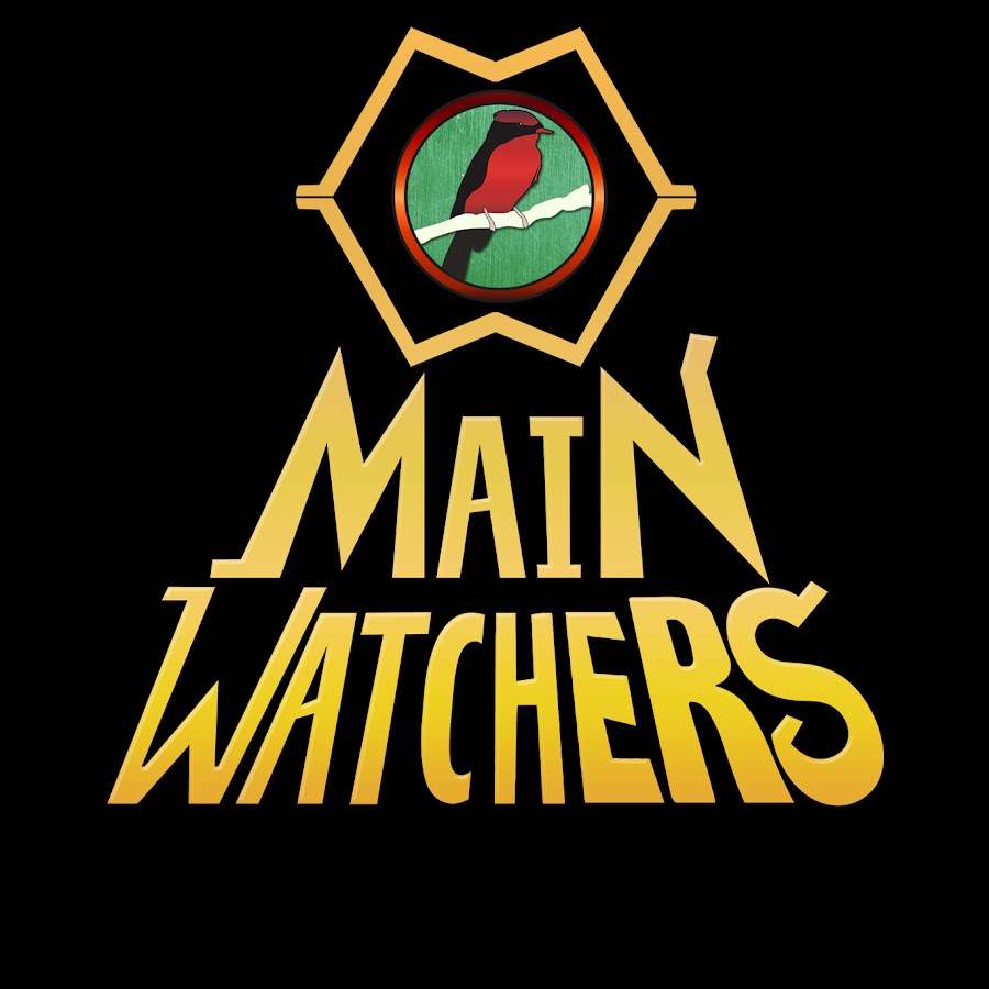 Main Watchers YouTube channel avatar