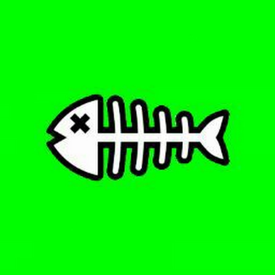 魚の骨チャンネル Youtube
