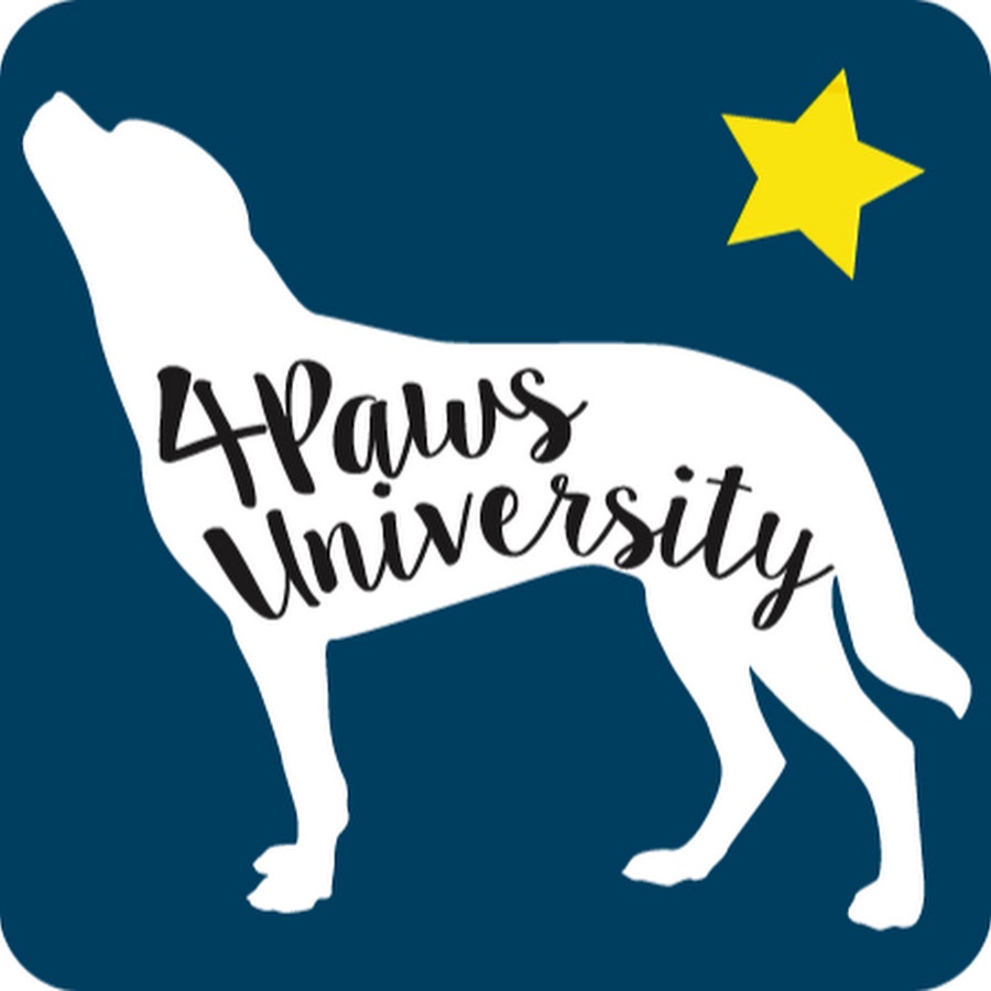 4PawsUniversity Avatar canale YouTube 