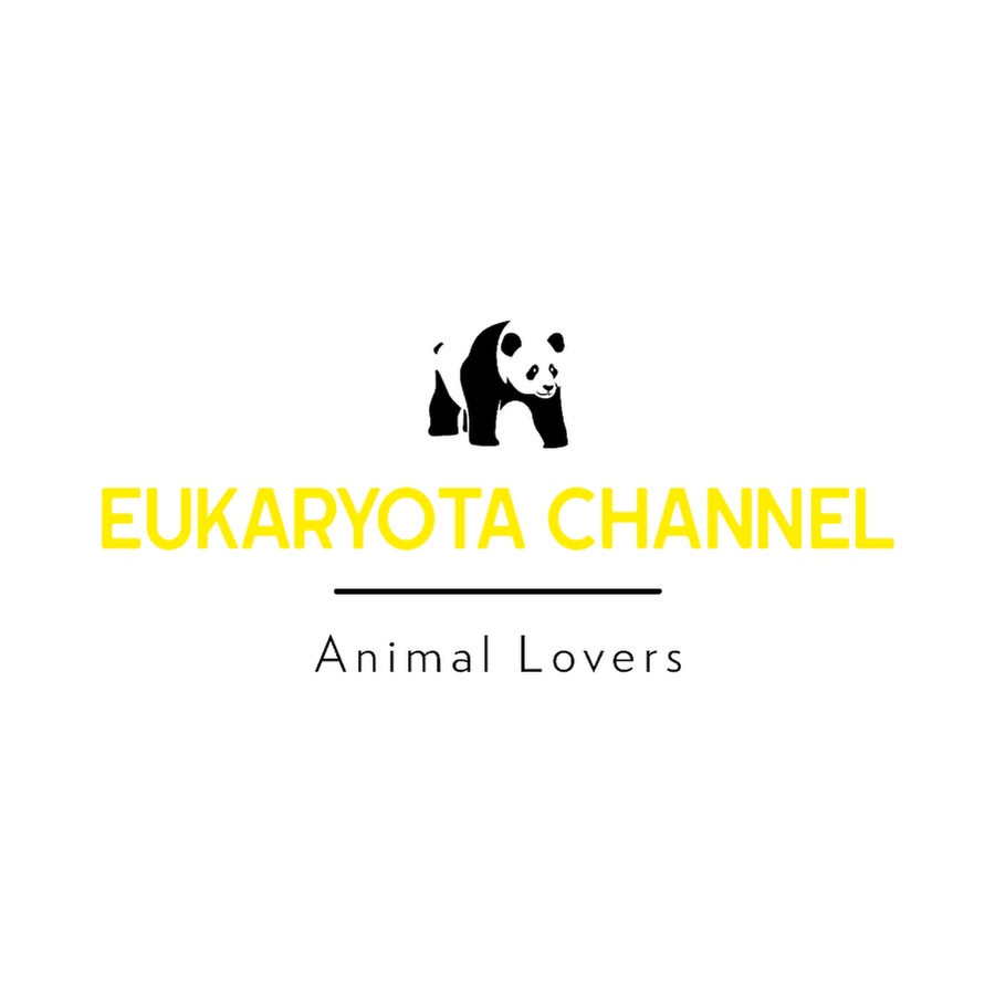 Eukaryota Channel YouTube channel avatar