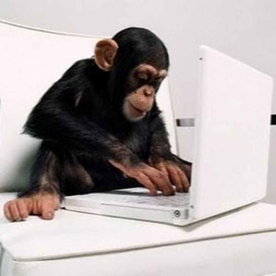 Шимпанзе с ноутбуком