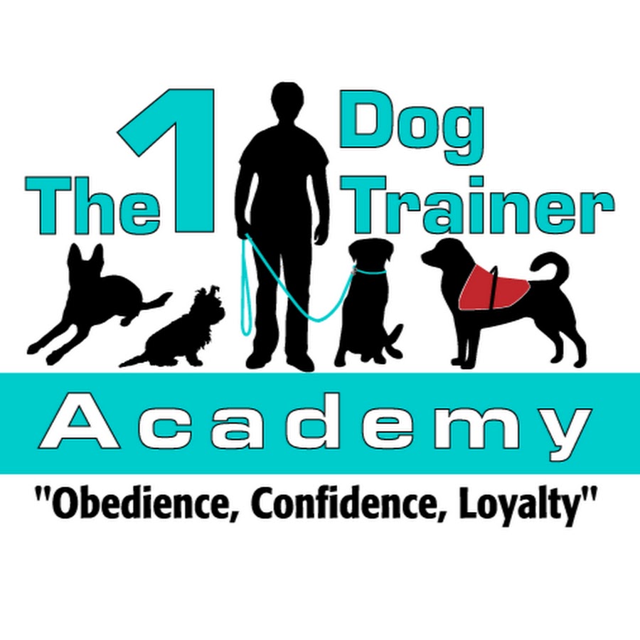 The 1 Dog Trainer