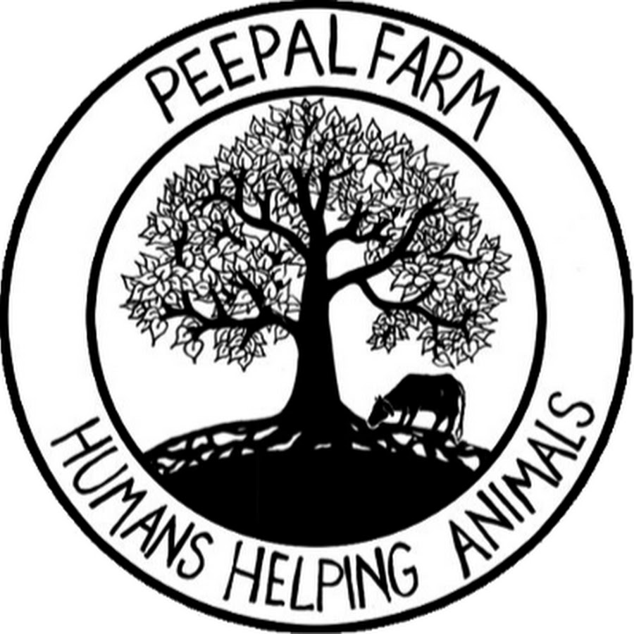 Peepal Farm YouTube kanalı avatarı