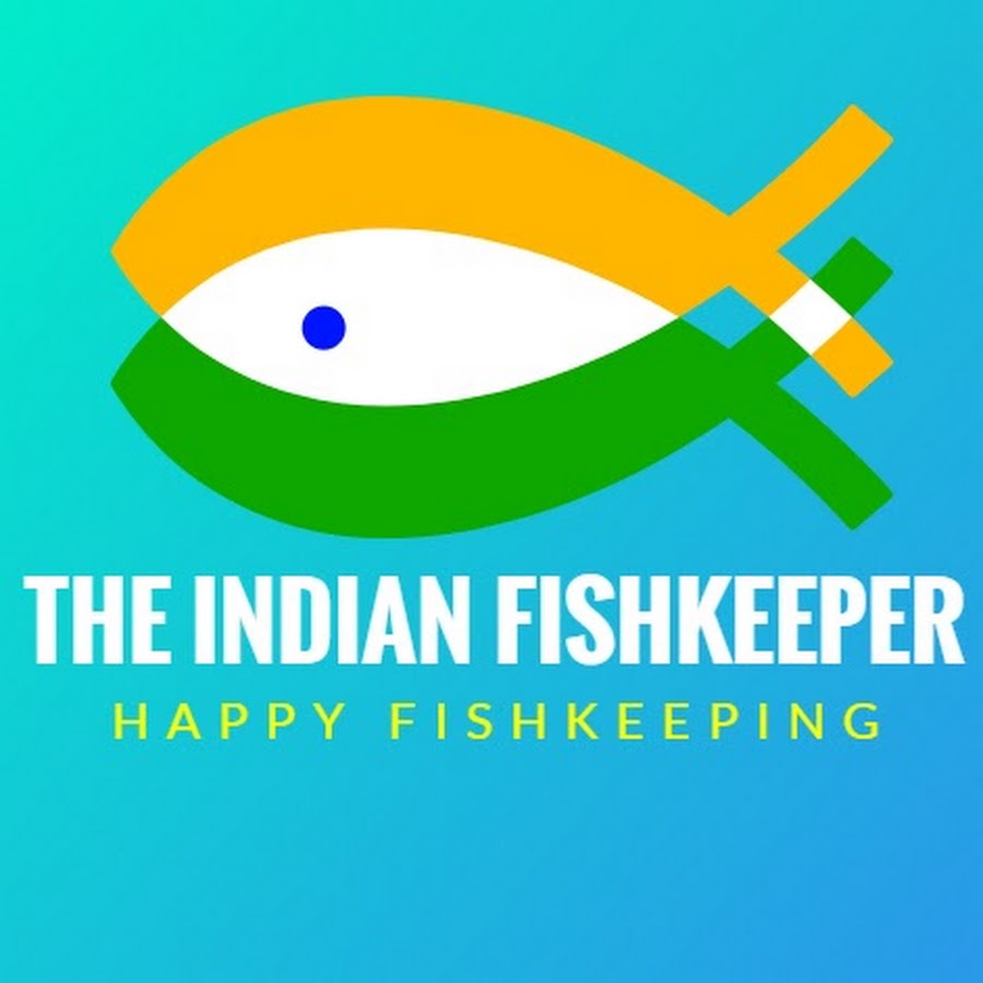 The Indian Fishkeeper Avatar del canal de YouTube