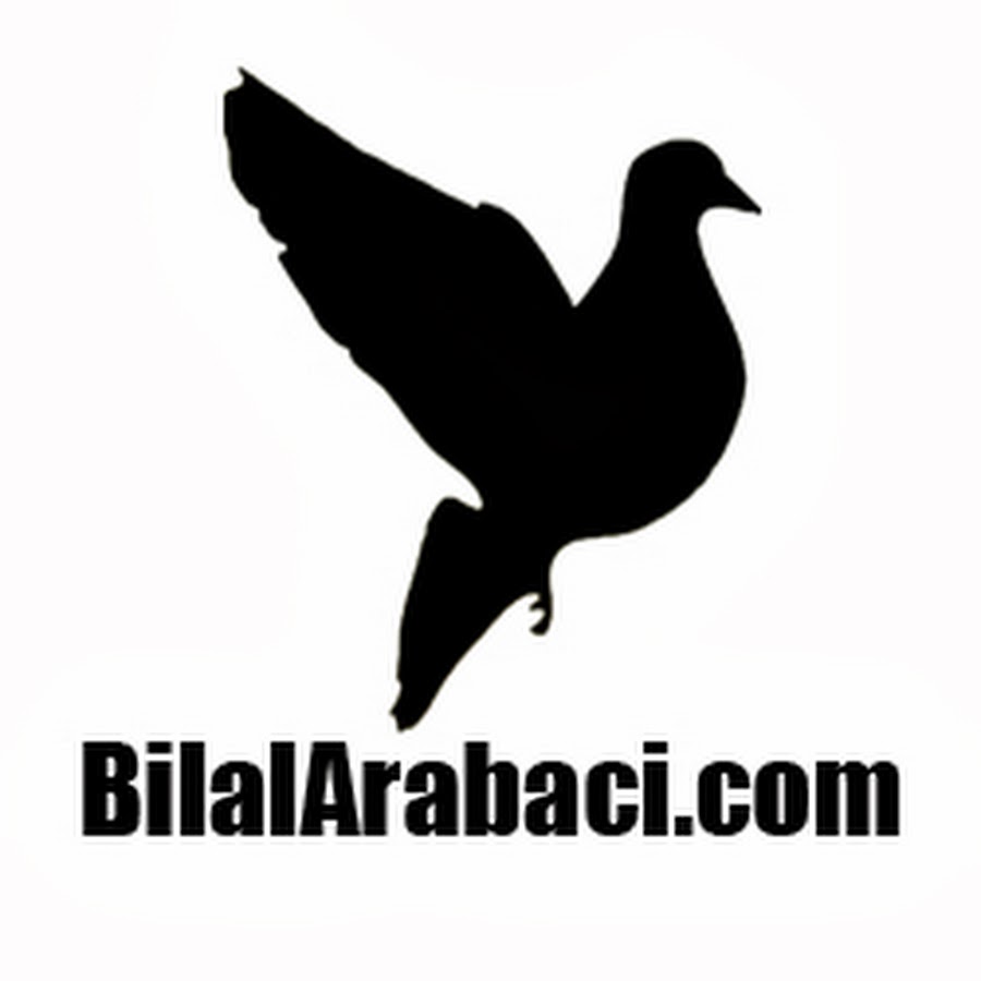 bilalarabaci ইউটিউব চ্যানেল অ্যাভাটার