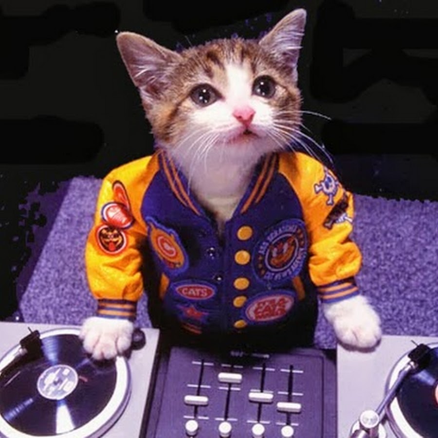 DJ Mixclo YouTube kanalı avatarı