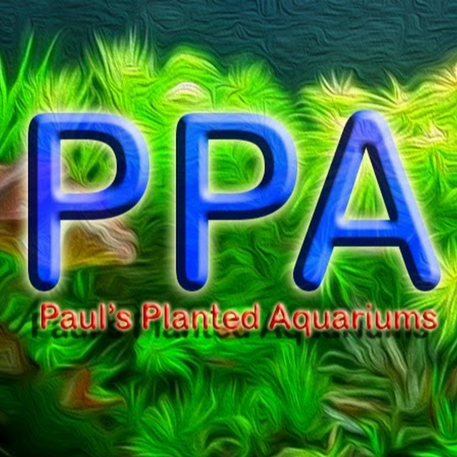 Pauls Planted Aquariums Avatar canale YouTube 