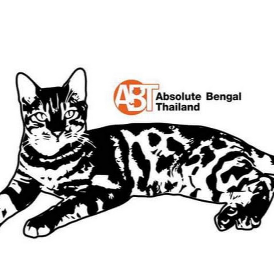 ABT.Bengals Bengal Cat Breeder यूट्यूब चैनल अवतार