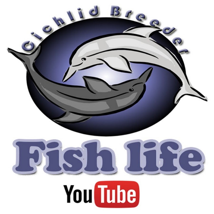 Fish life YouTube channel avatar
