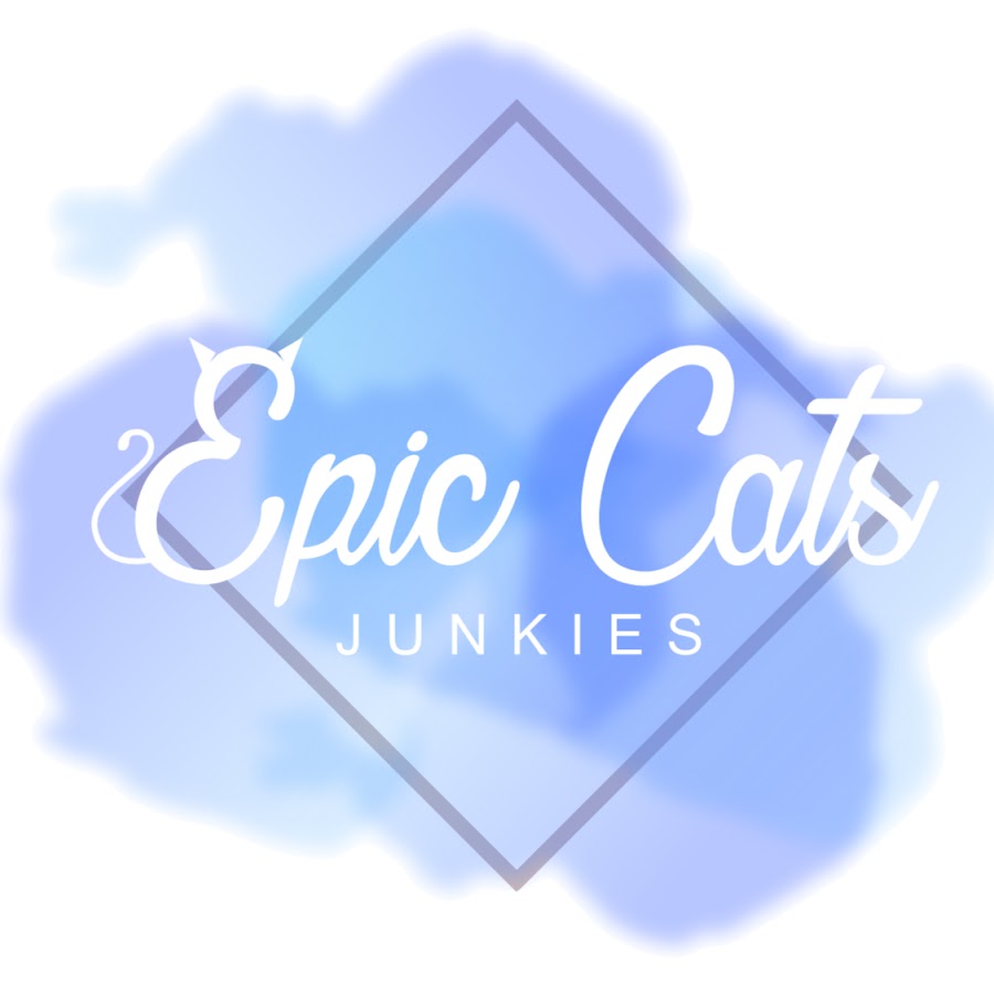 Epic Cats Junkies Avatar canale YouTube 