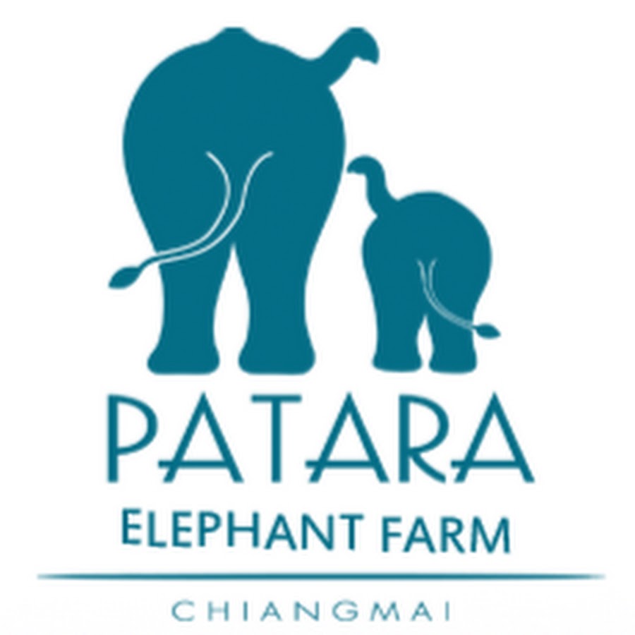 pataraelephantfarm Avatar channel YouTube 