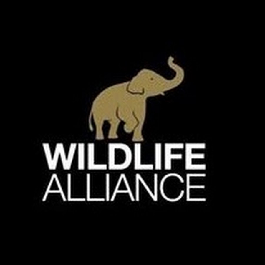 Wildlife Alliance رمز قناة اليوتيوب