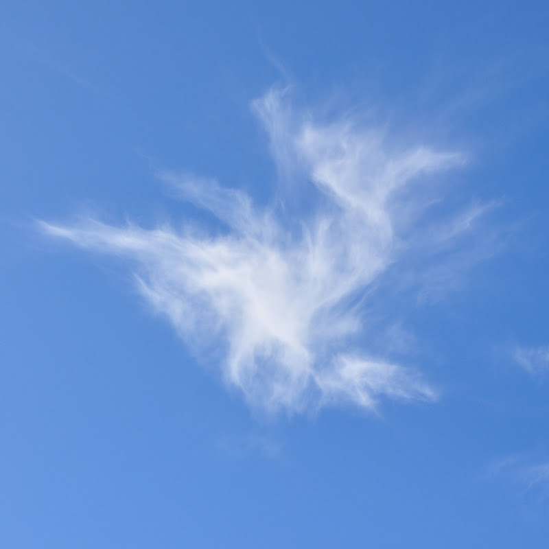 ガチョック - 網紅的藏寶箱 