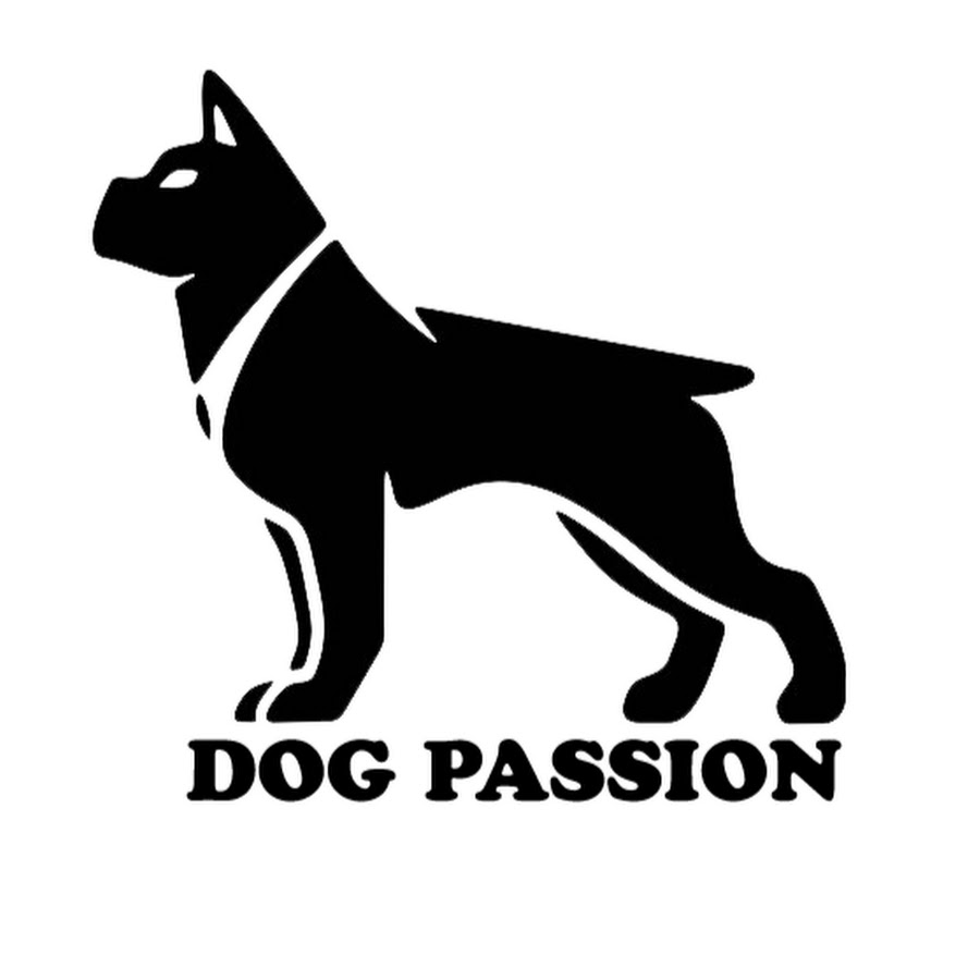 Dog Passion Avatar del canal de YouTube