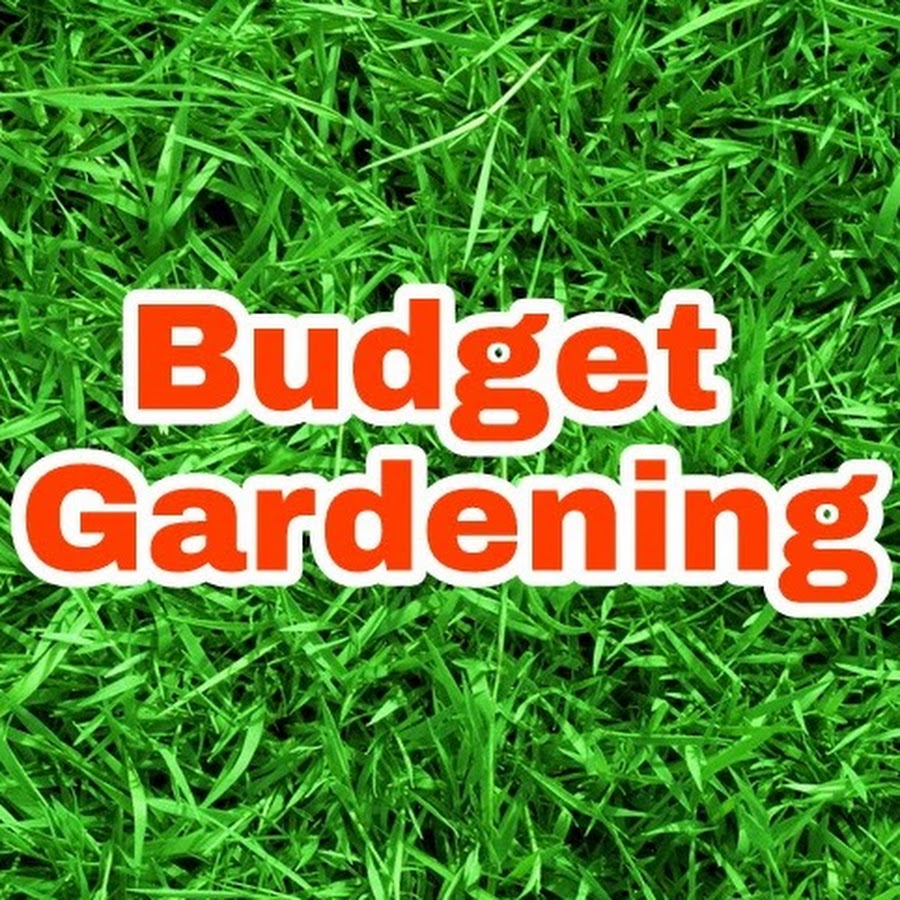 Budget Gardening Avatar channel YouTube 