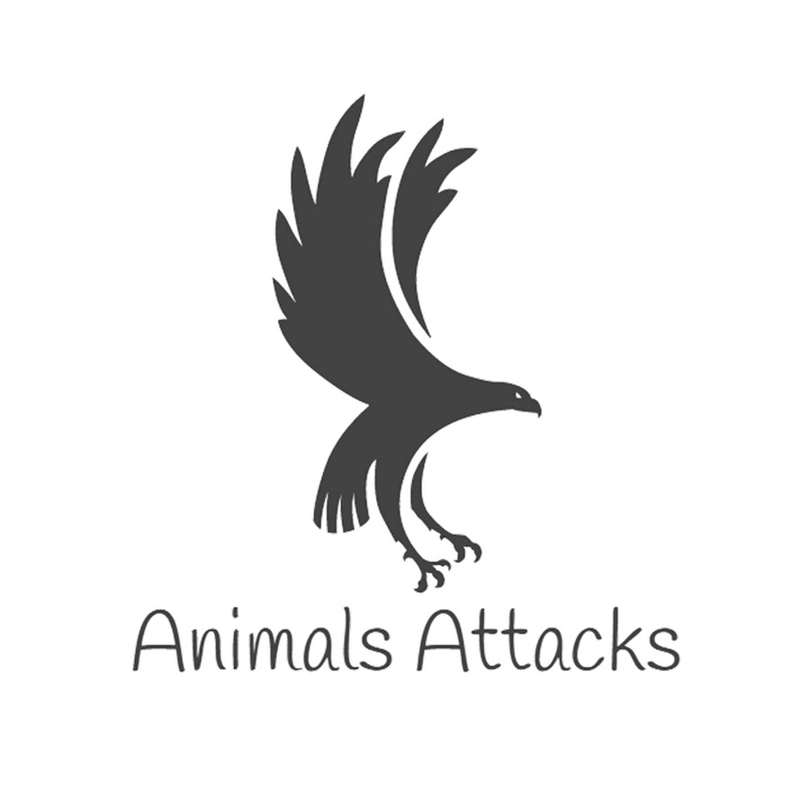 Animals Attacks YouTube channel avatar