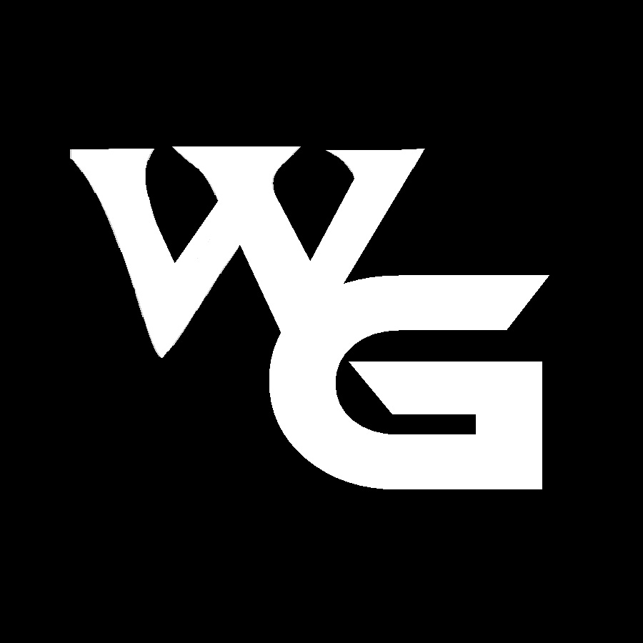 WildGamerSK YouTube channel avatar