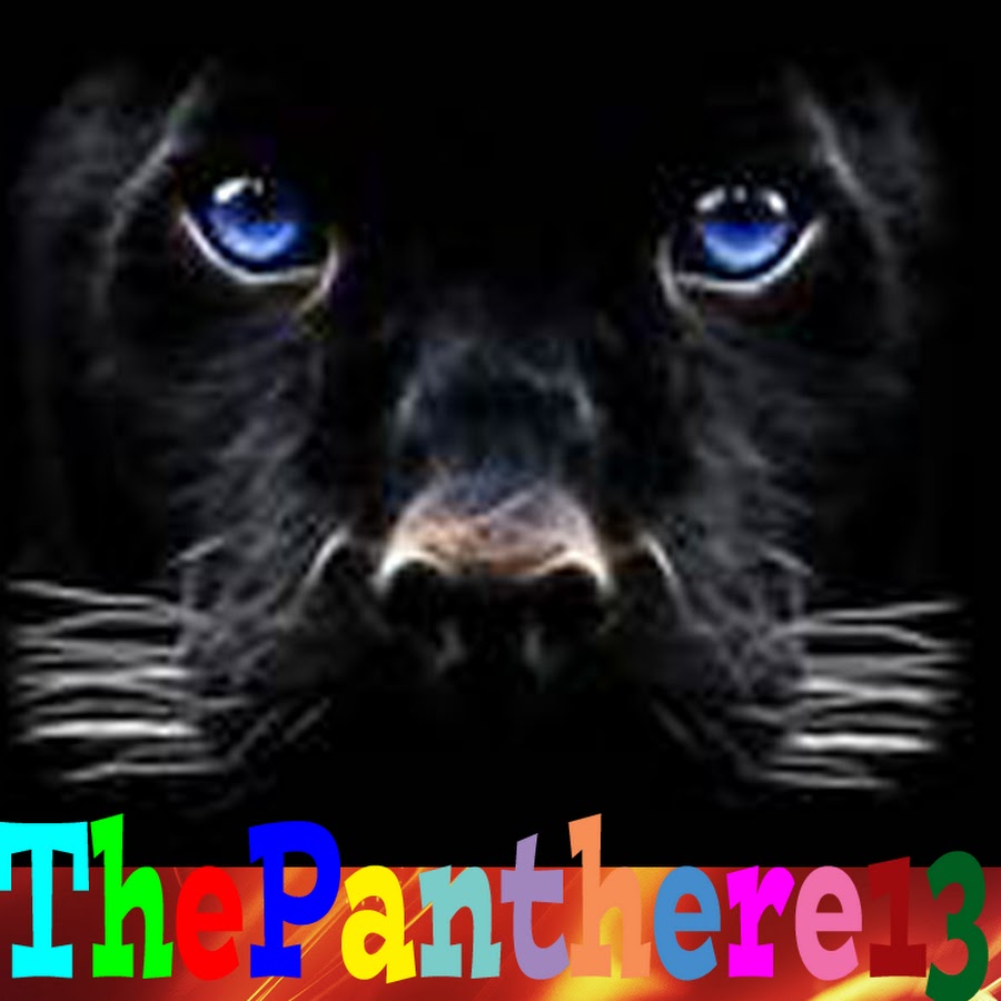 ThePanthere13 YouTube channel avatar