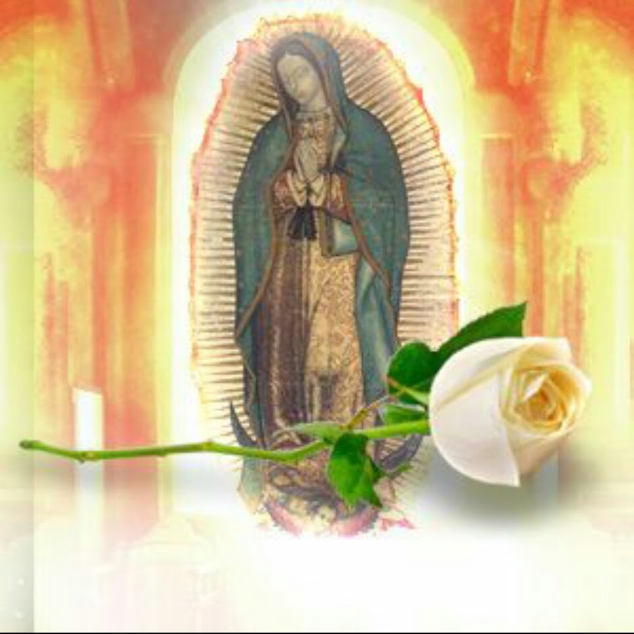 La Rosa de Guadalupe - CapÃ­tulos YouTube channel avatar