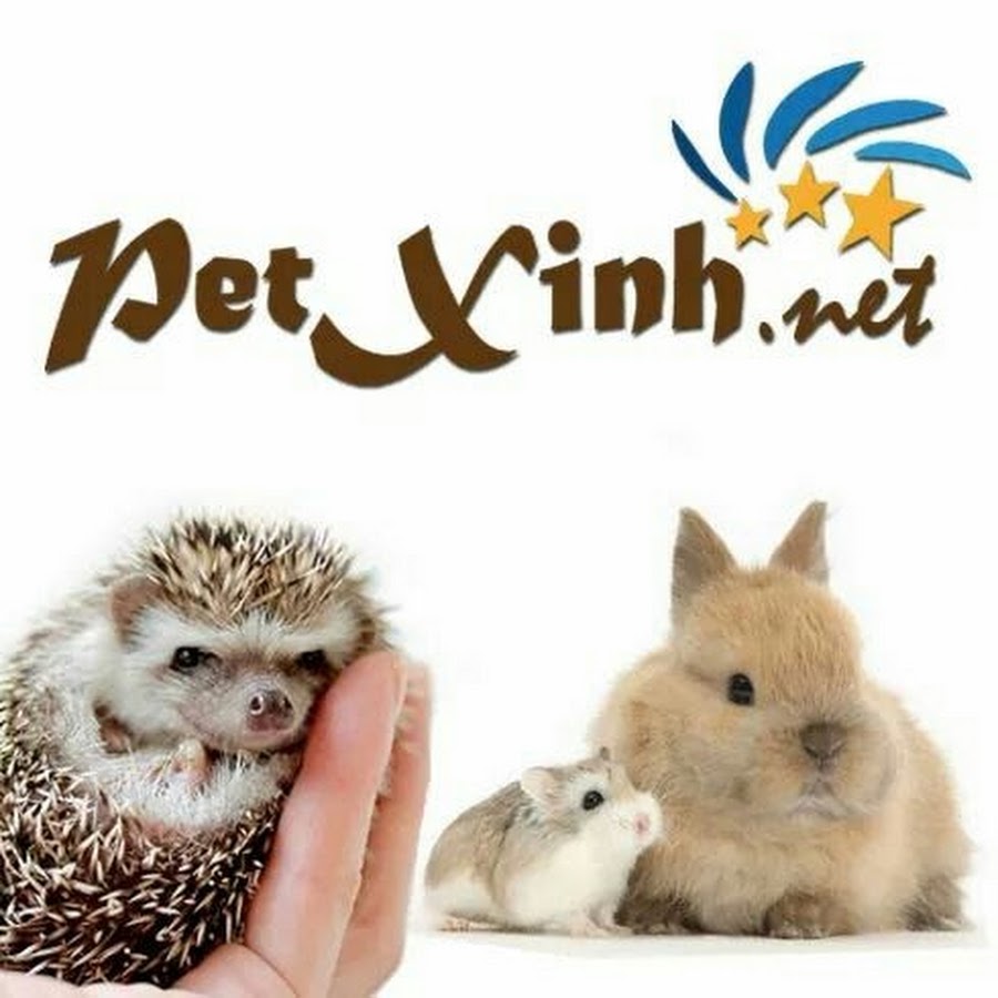 PetXinh.net cá»­a hÃ ng