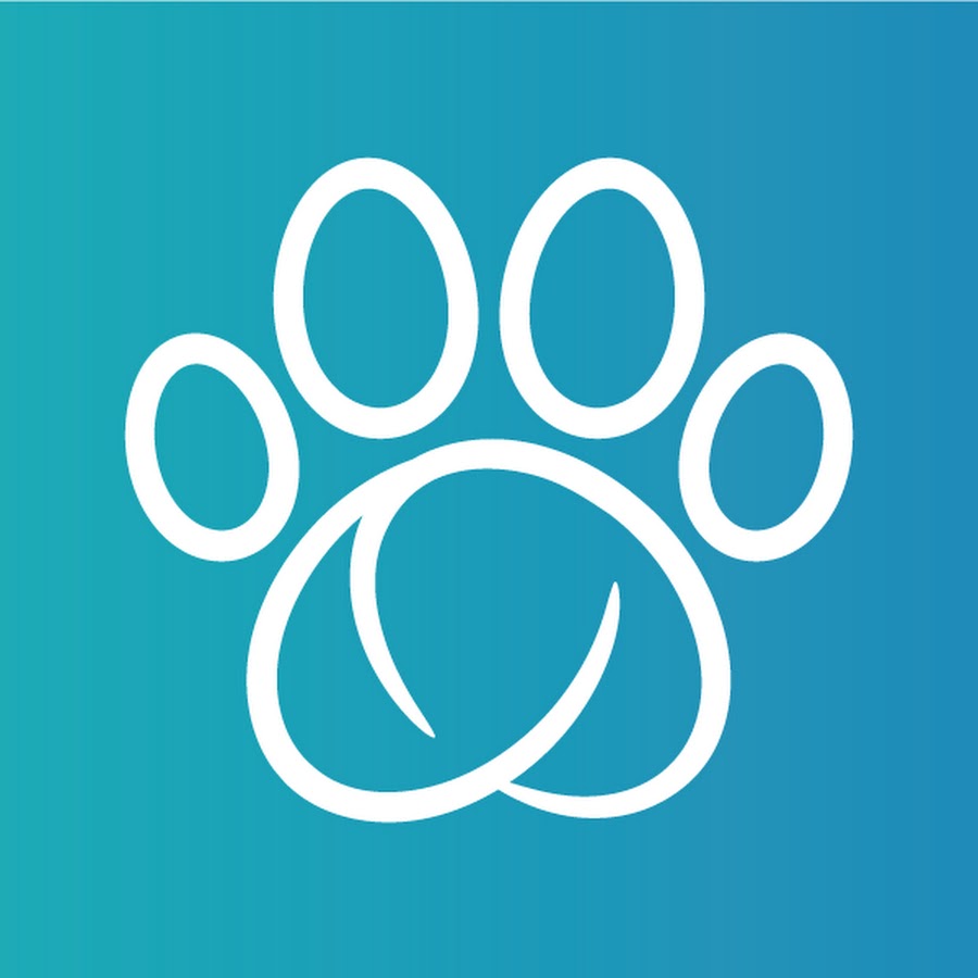 Sure Petcare YouTube channel avatar